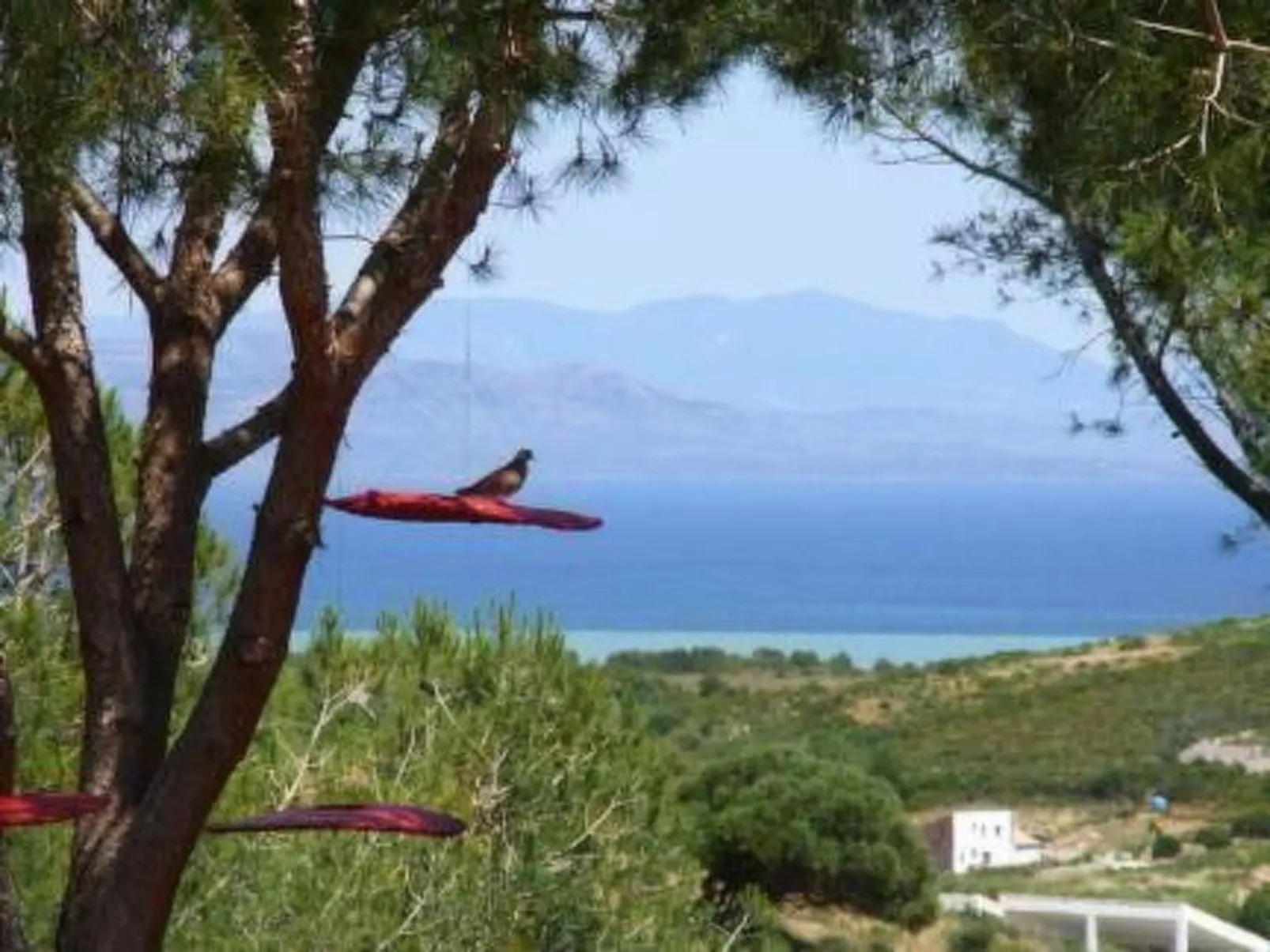 'Luciana' mit Wasserblick-Draußen