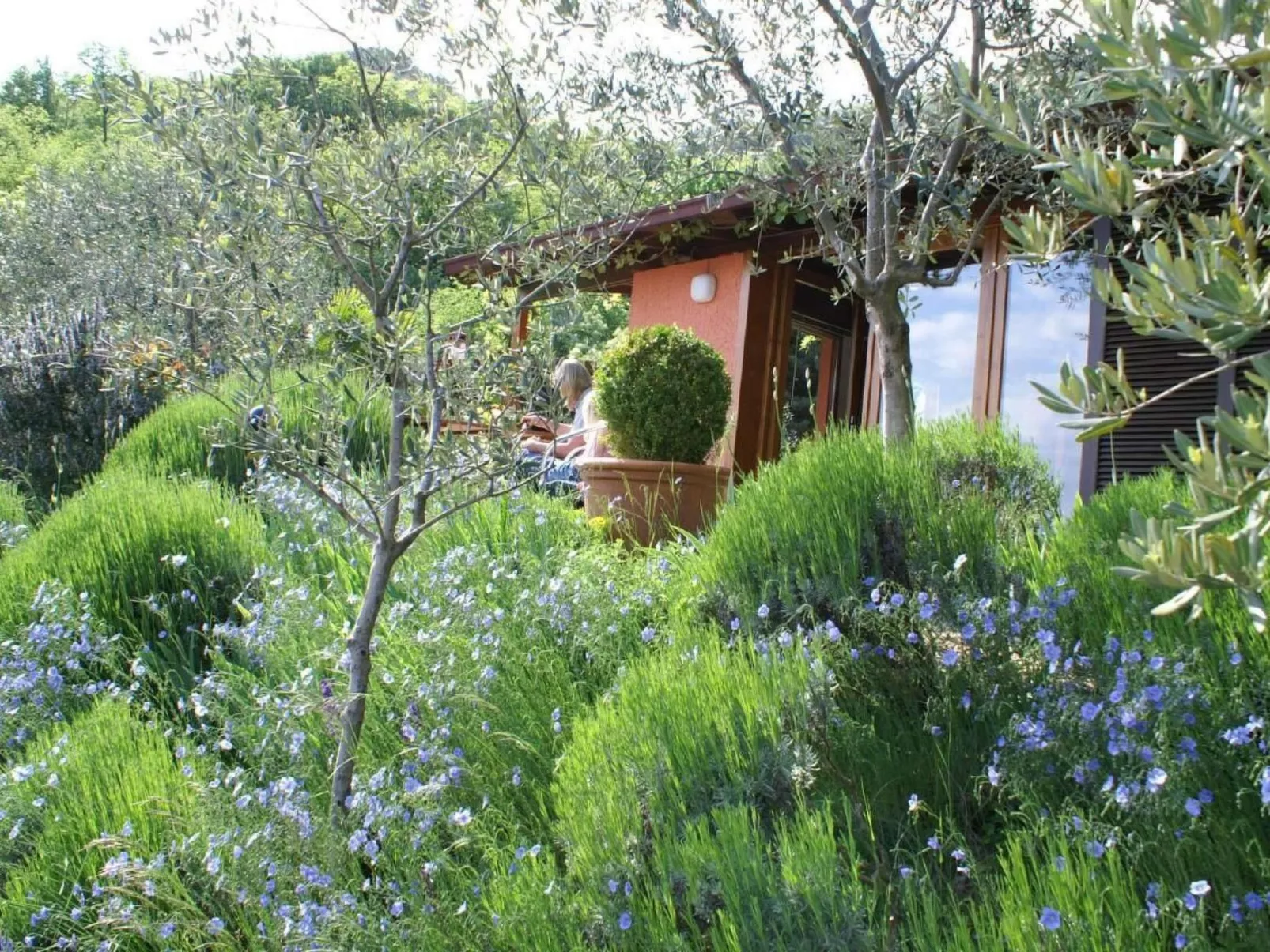 Oliveto Tignale-Outside