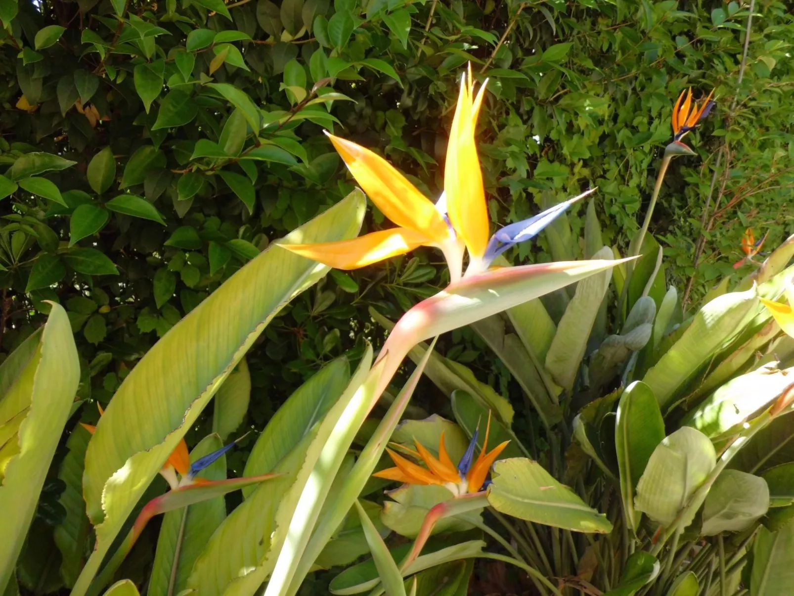 Appartment Laura-Outside