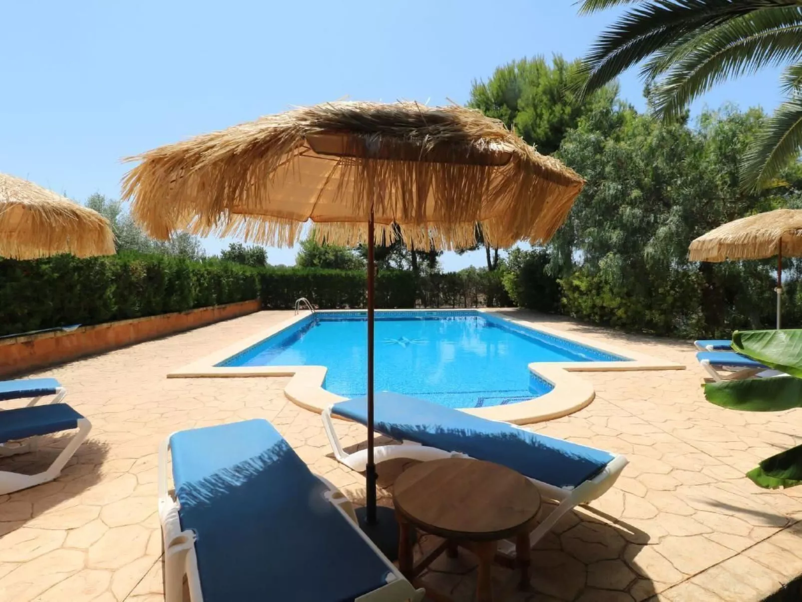 Fi. Camaron-Crestall-Dehors