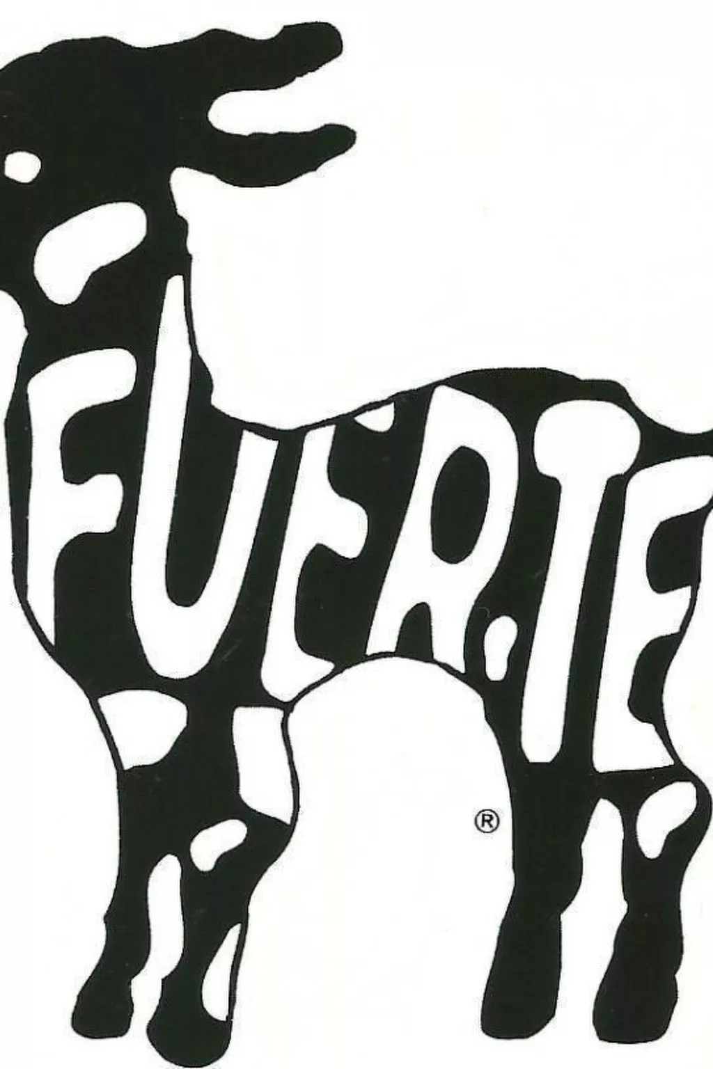 SeaHaus Fuerte-Outside