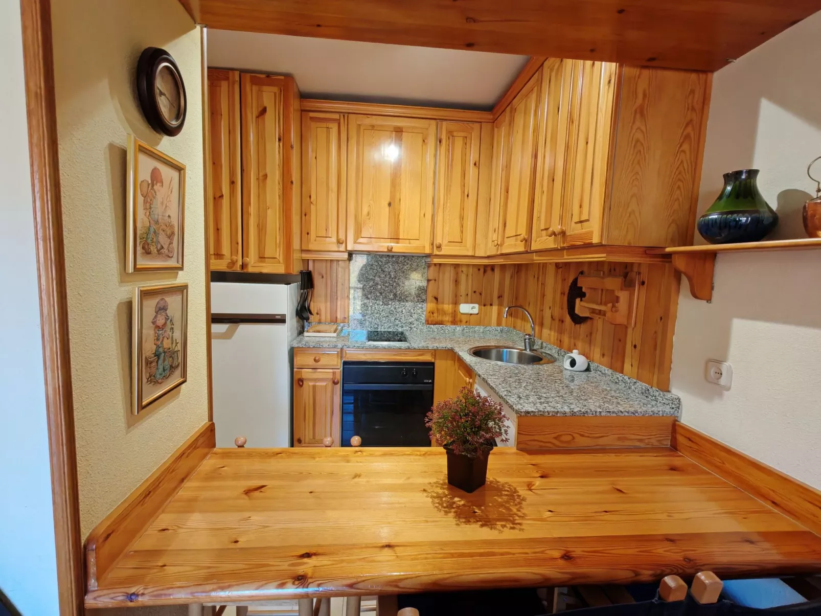 Wohnung mit direktem Licht Falcó 16 Vall de Boí-Inside