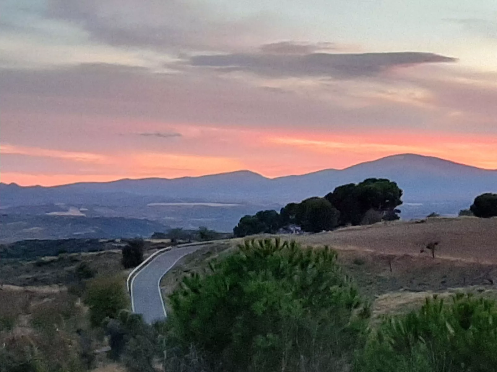 Weingut "Garnacha de Borja".-Outside