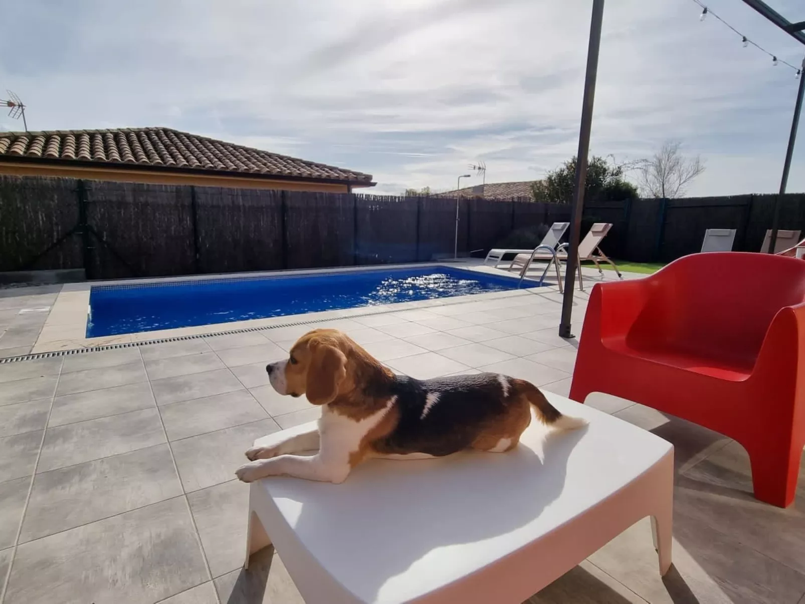 Modernes Einfamilienhaus mit Pool-Draußen