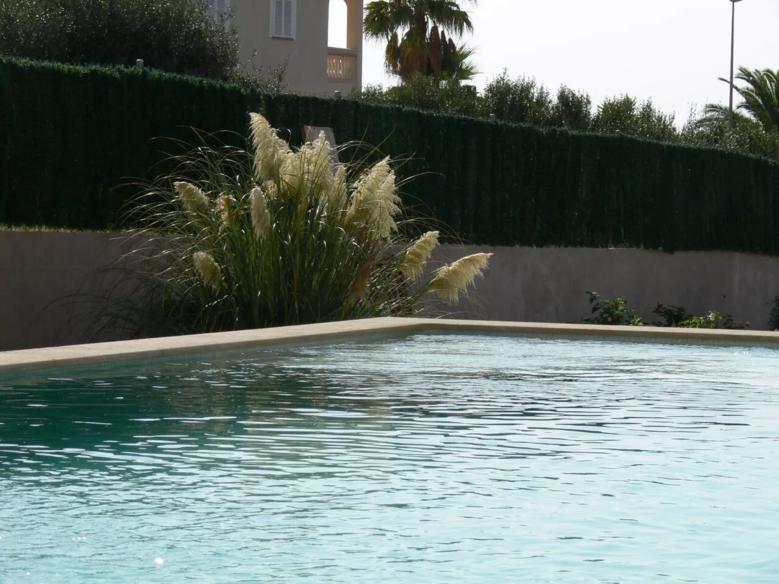 Ferienvilla "New Sa Torre-Image-tags.info