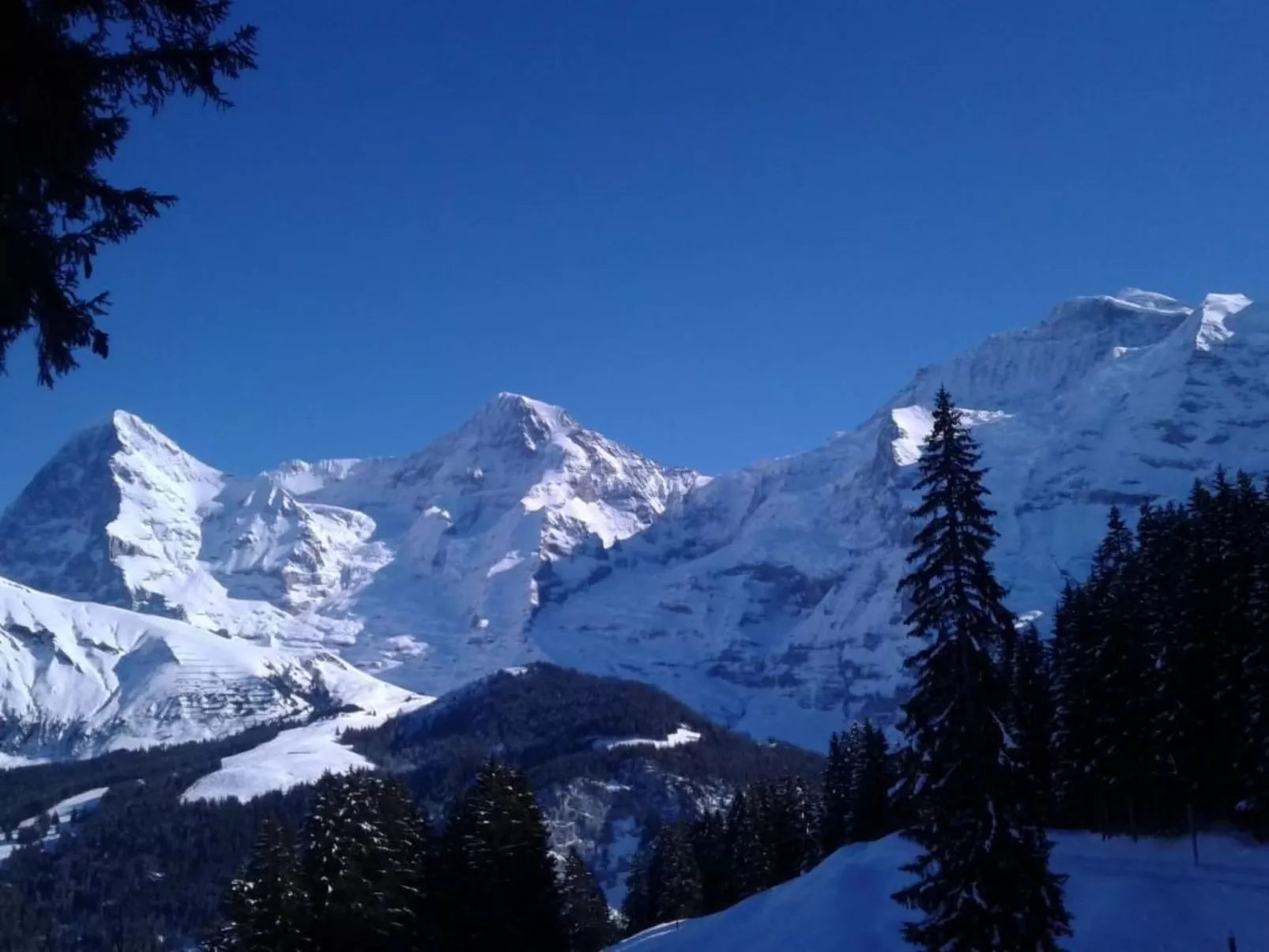 Bühlengasse 6-Image-tags.info