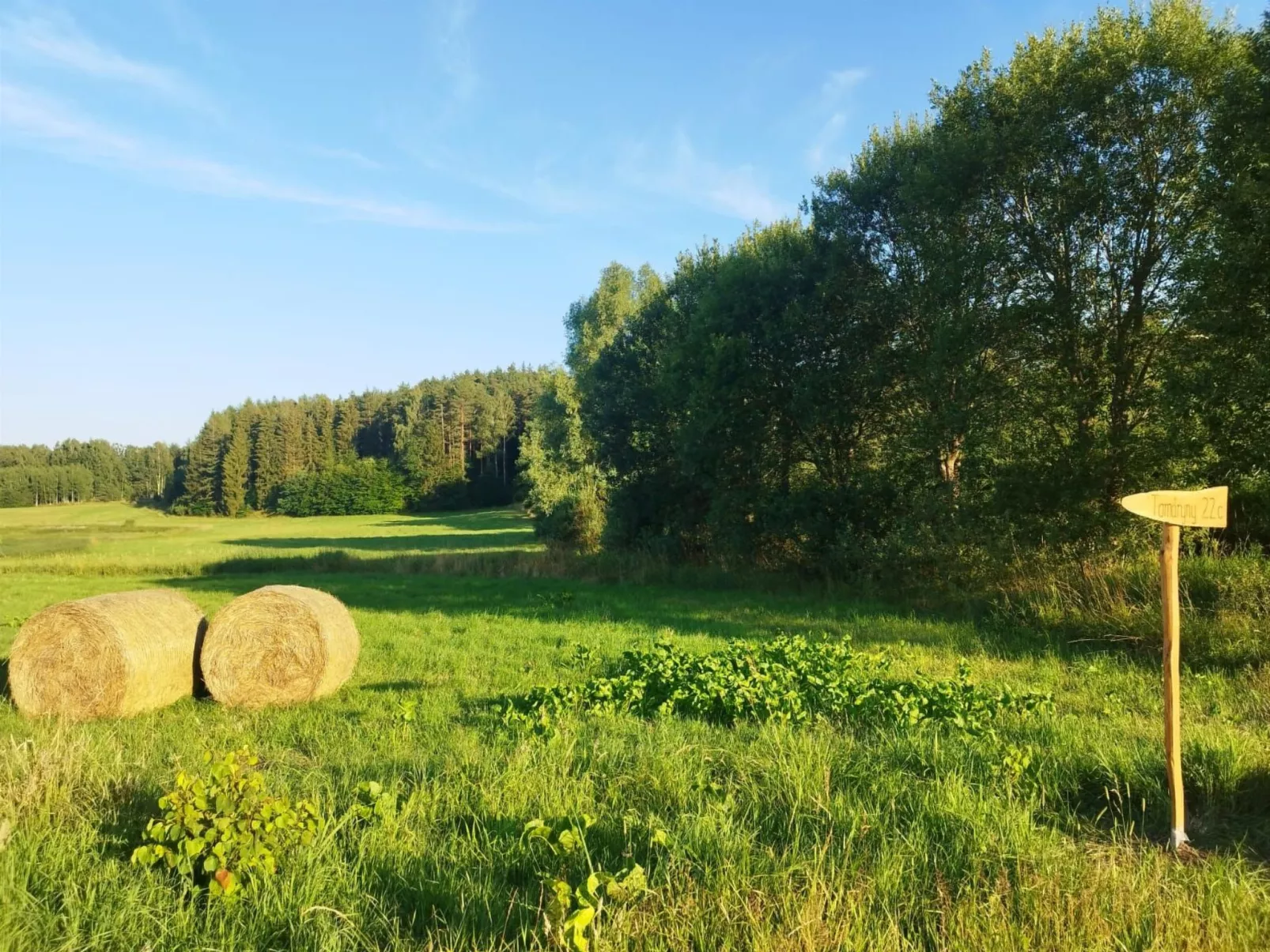 Vogelecke - abseits des Trubels und der Hektik-Dehors