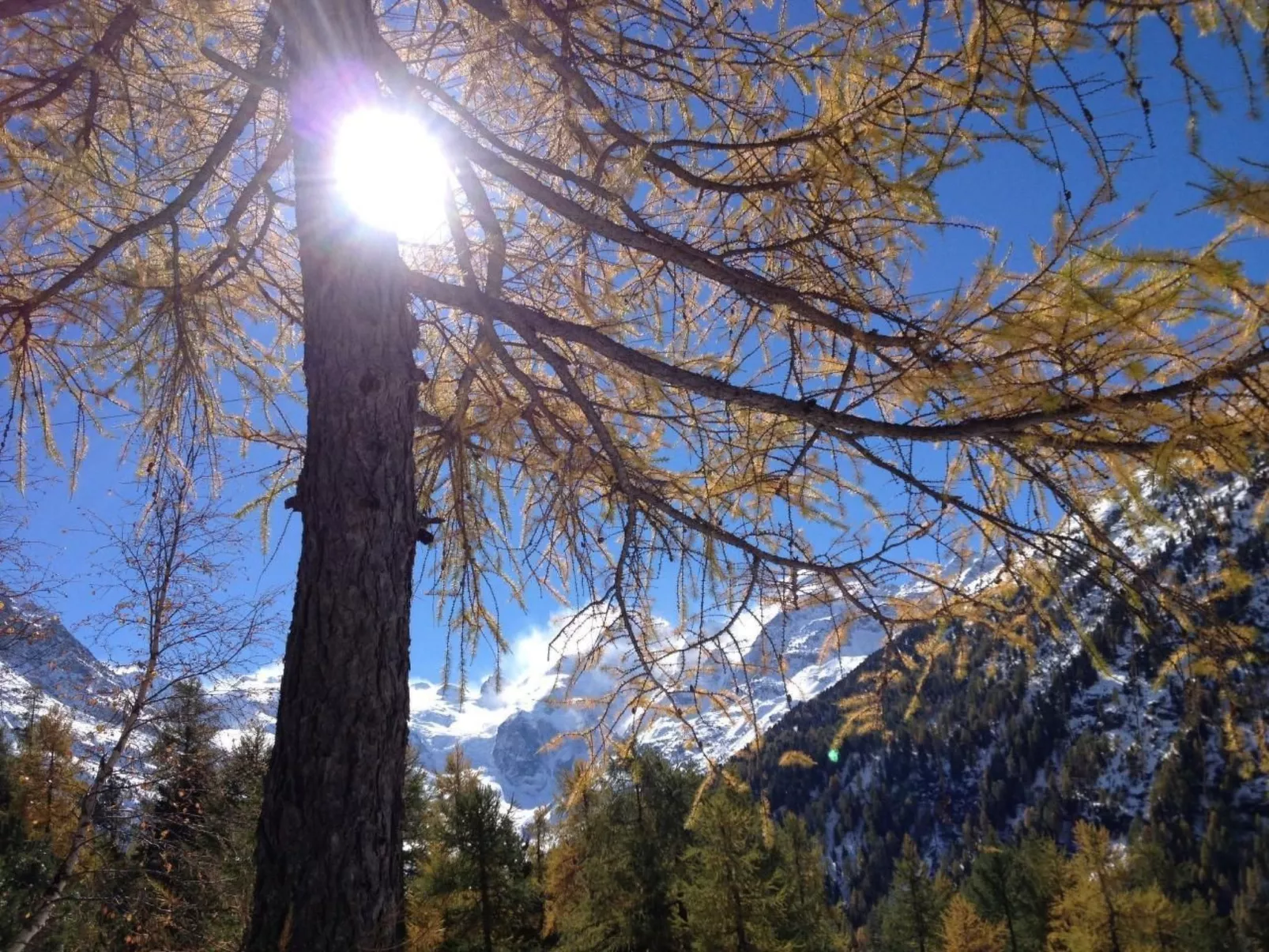 Chesa Bohner-Outside