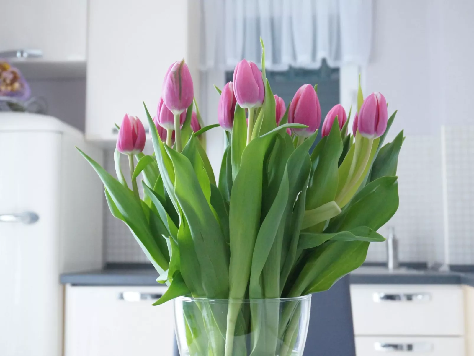 In Veliko Brdo mit Privatem Pool-Inside