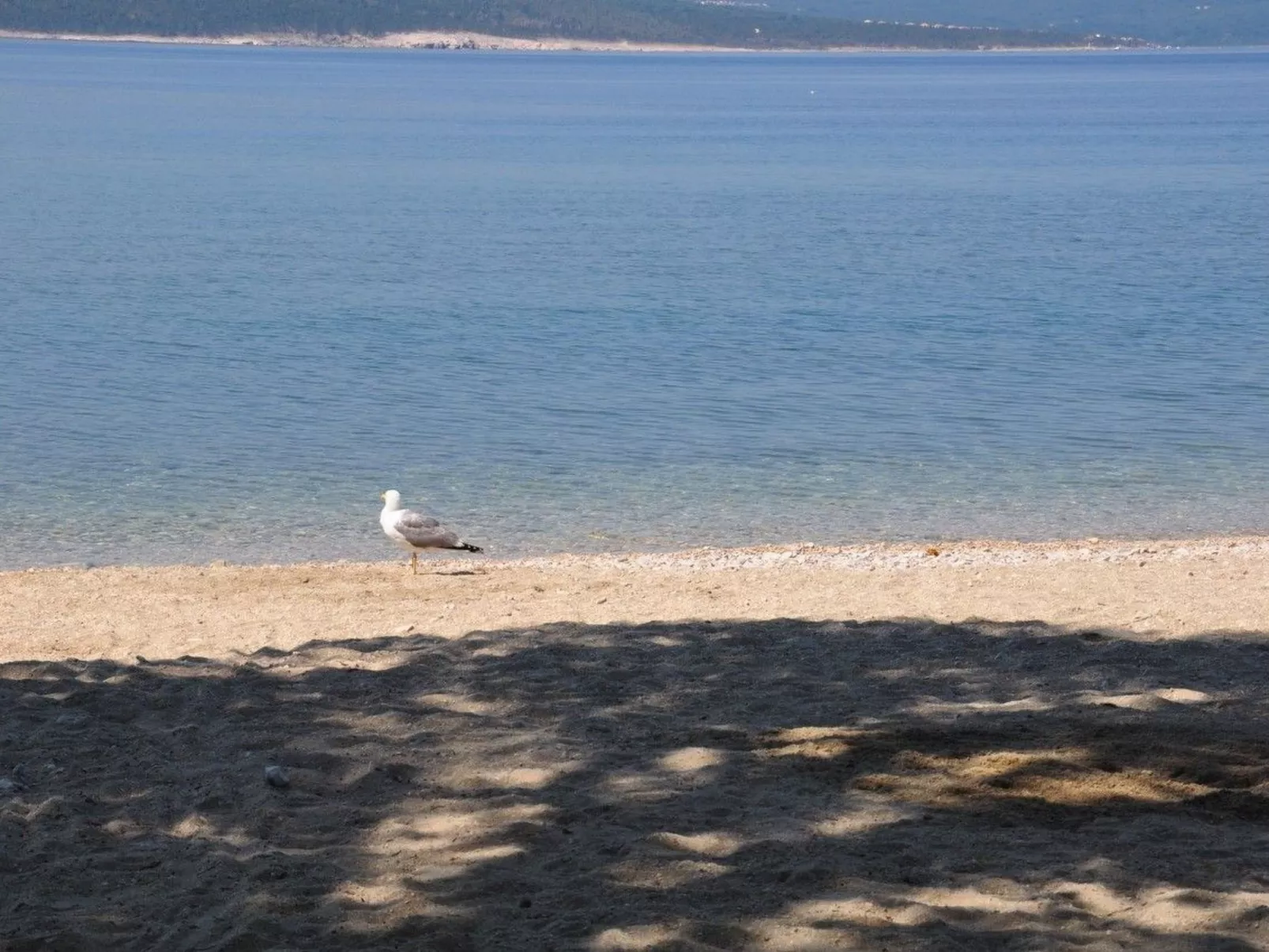Wohnung für 6 Personen - Outside