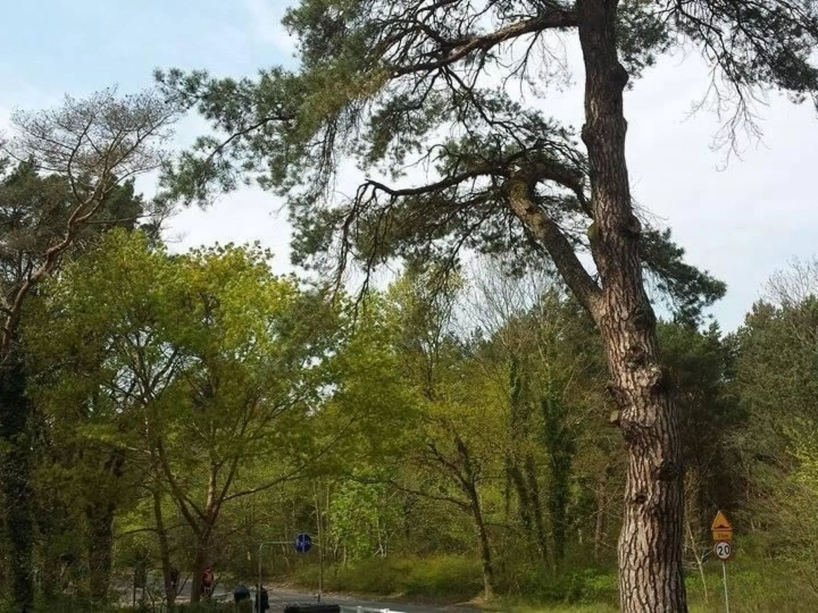 FeWo erste Reihe-Image-tags.info