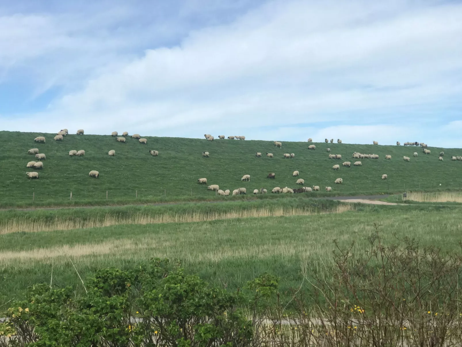 E3 Haus mit Wintergarten, Kamin und Deichblick-Outside