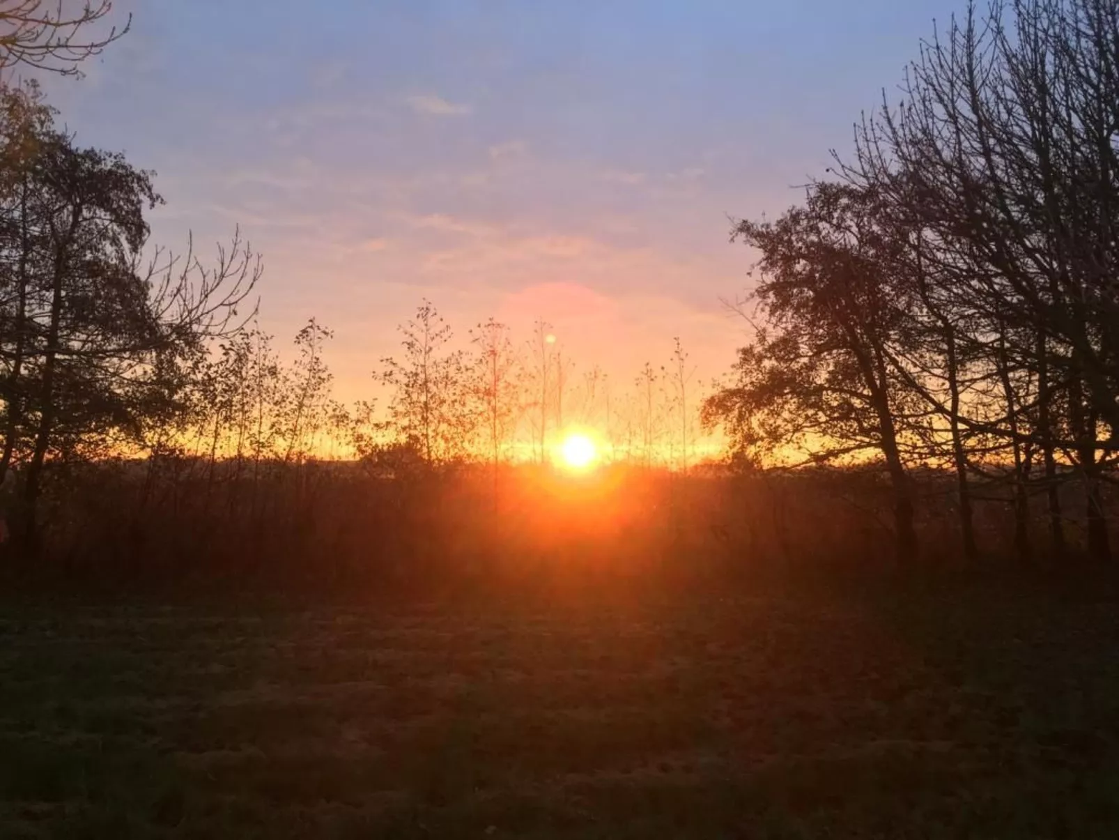 Deichhof Tossens-Draußen