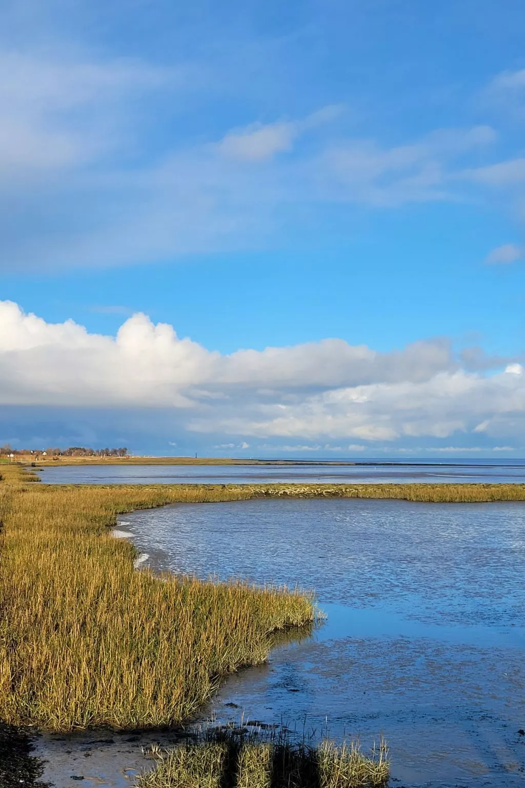 In der Nähe  vom Deich und Strand-Outside