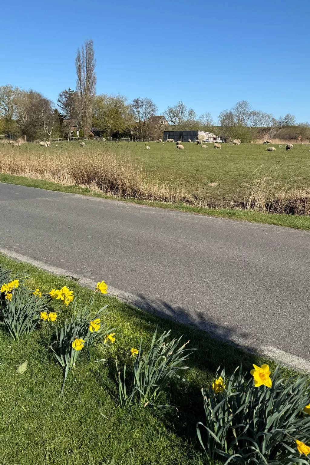 Huus in Hoddersdiek 27-Outside