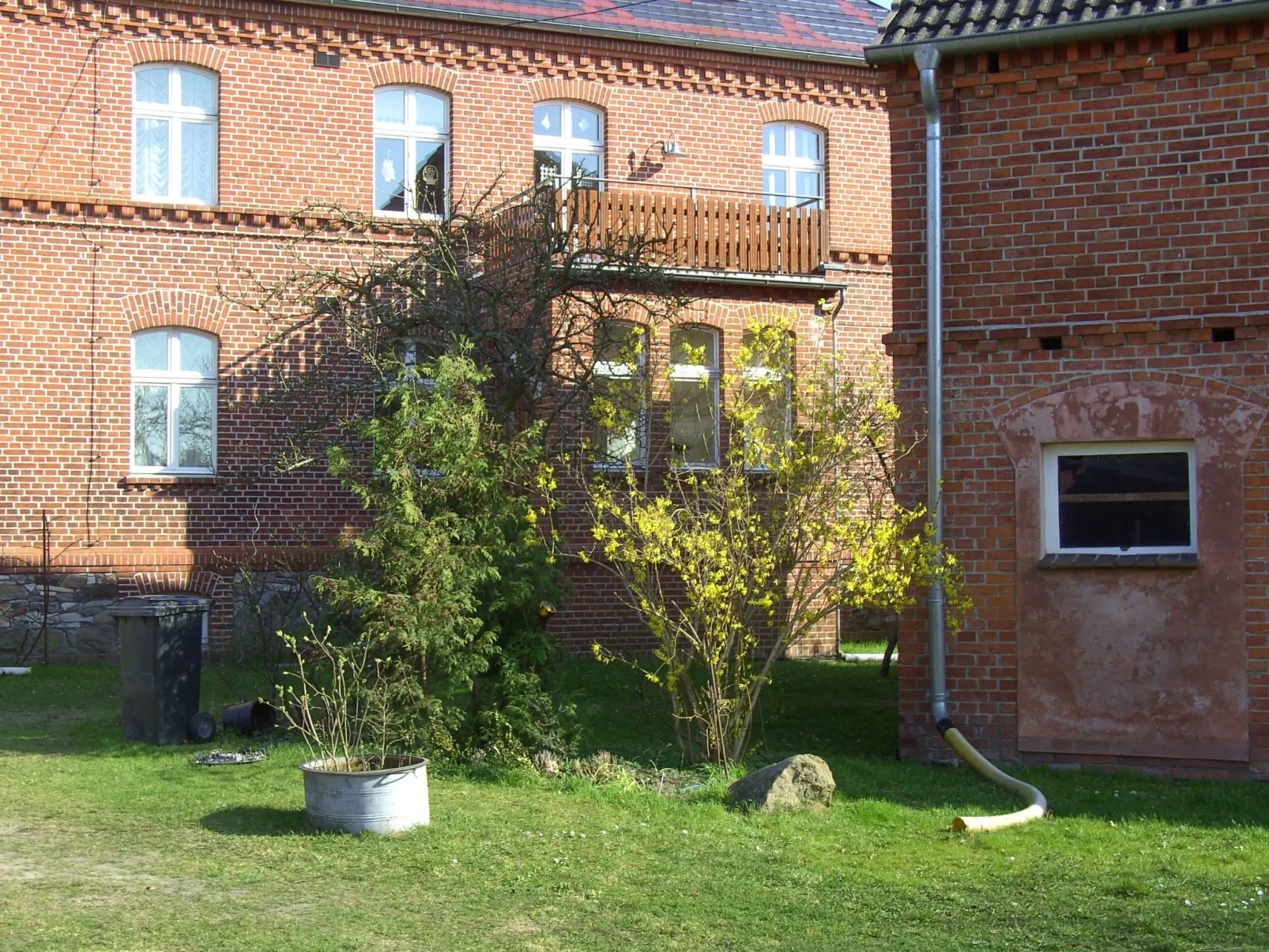 Rodd-Image-tags.info