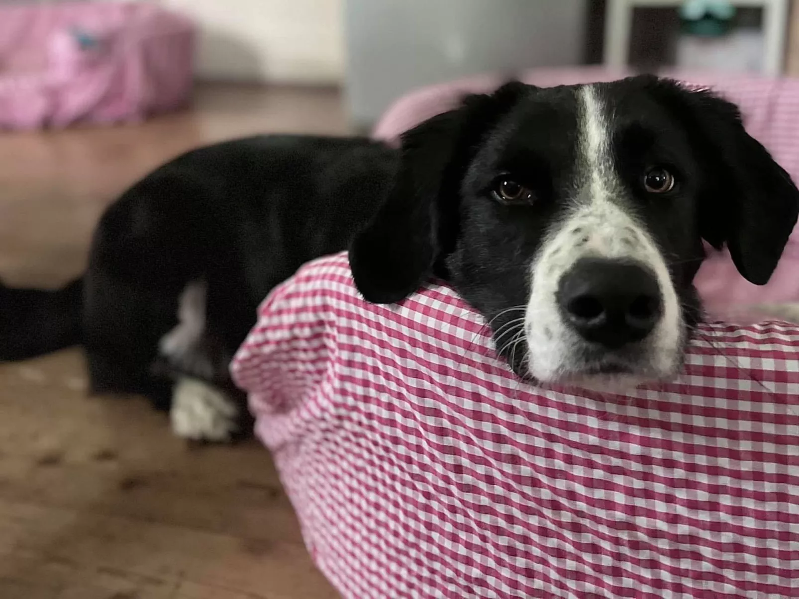 Kellerstöckl am veganen Bio-Lebenshof - Varm - the vegan Farm-Image-tags.info