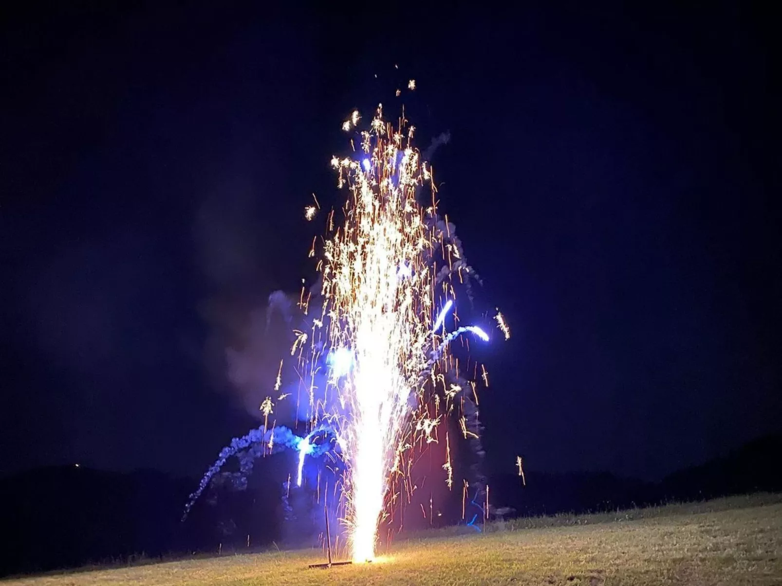 Alpakahof Ferien-Image-tags.info