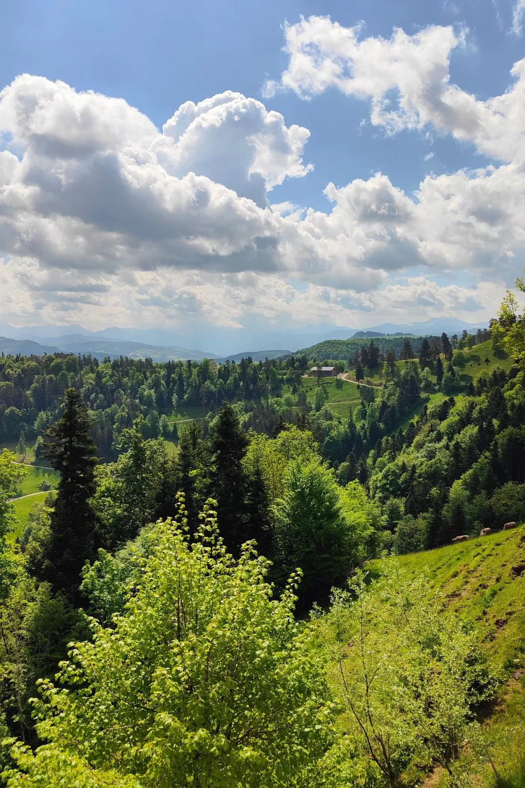 Schlosshöchi-Dehors