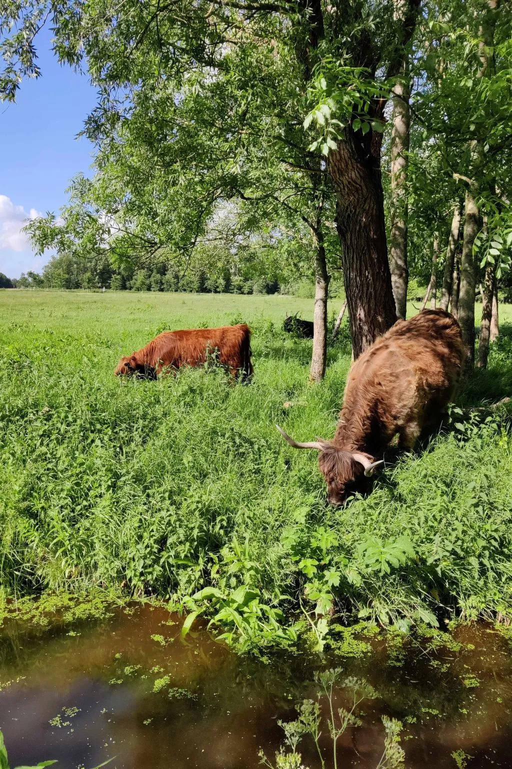 Appartement in Leeuwarden mit Privater Terrasse-Draußen
