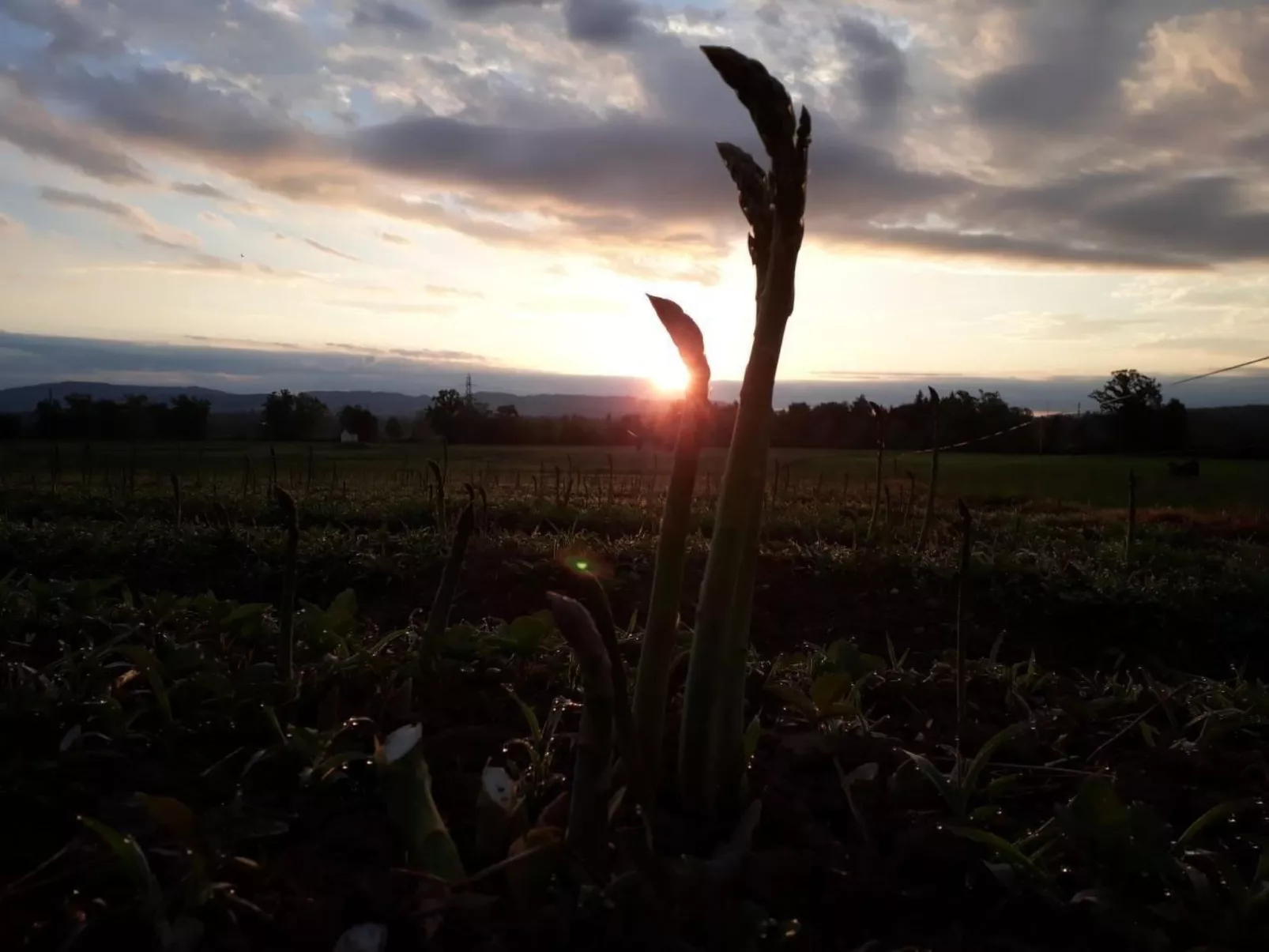 Sidlers Neuhof-Outside