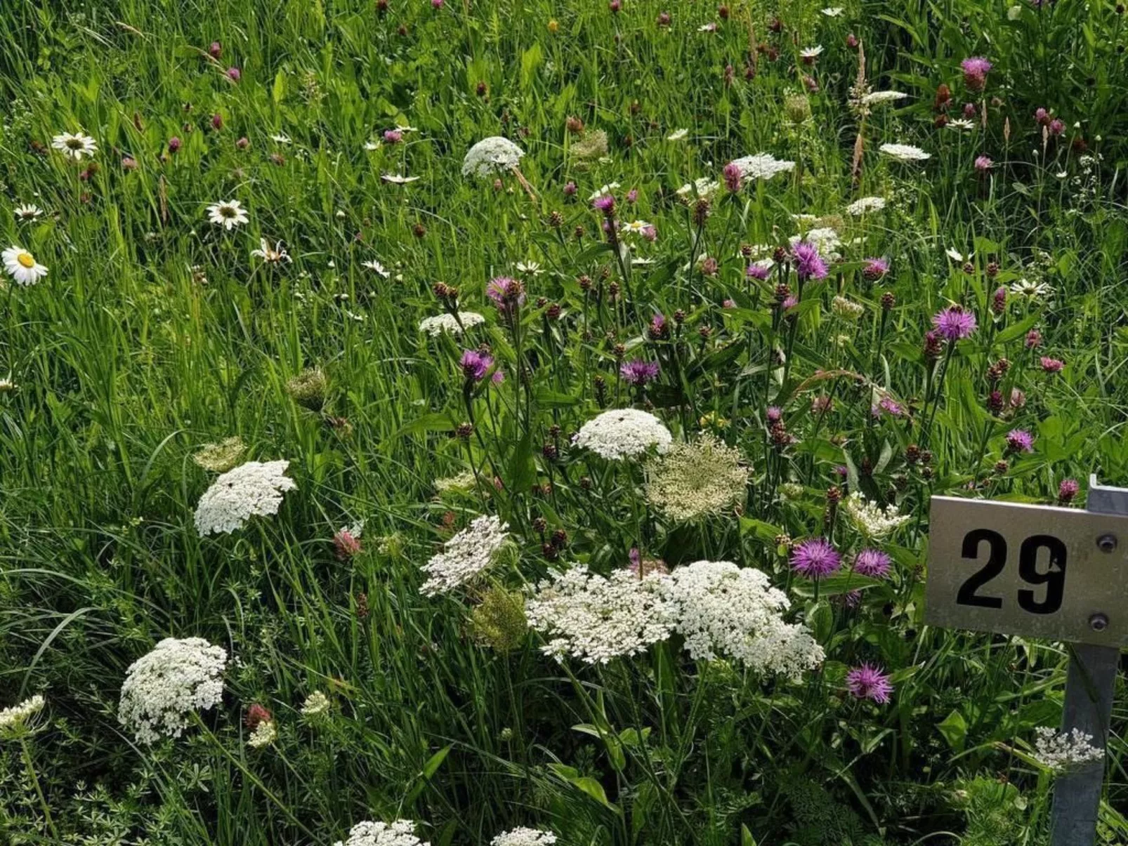 Chalet Traumfleck-Outside