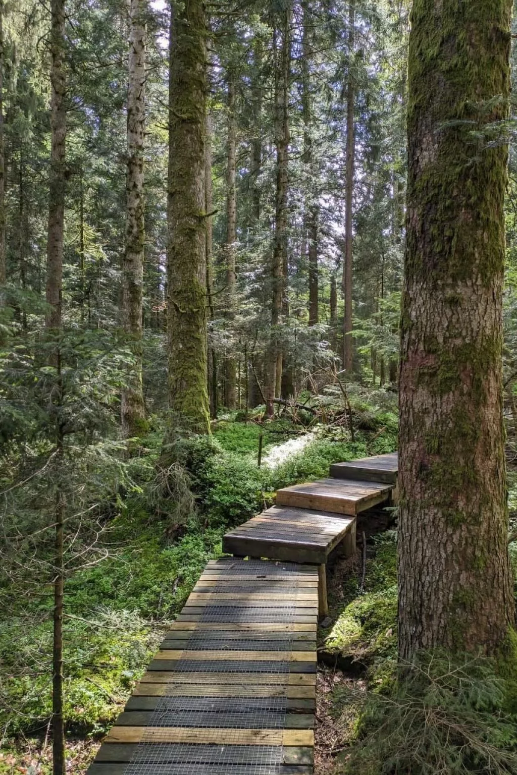 B & B auf dem Bauernhof-Draußen