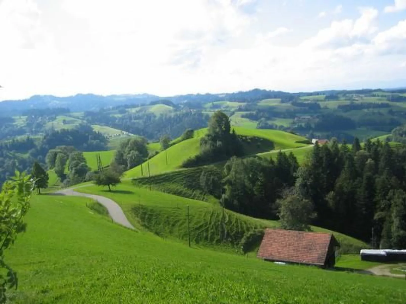 Ober-Tiefenbühl-Dehors