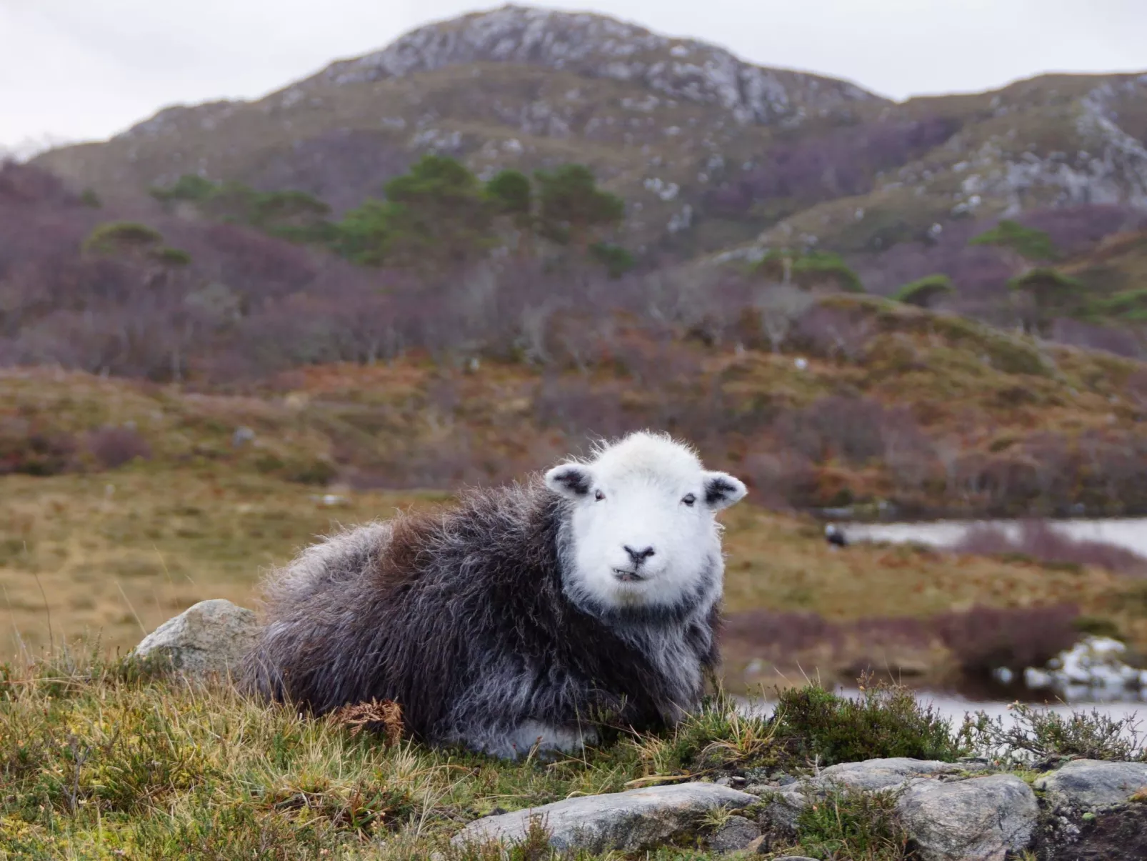 West Horizon Ferienhaus-Outside