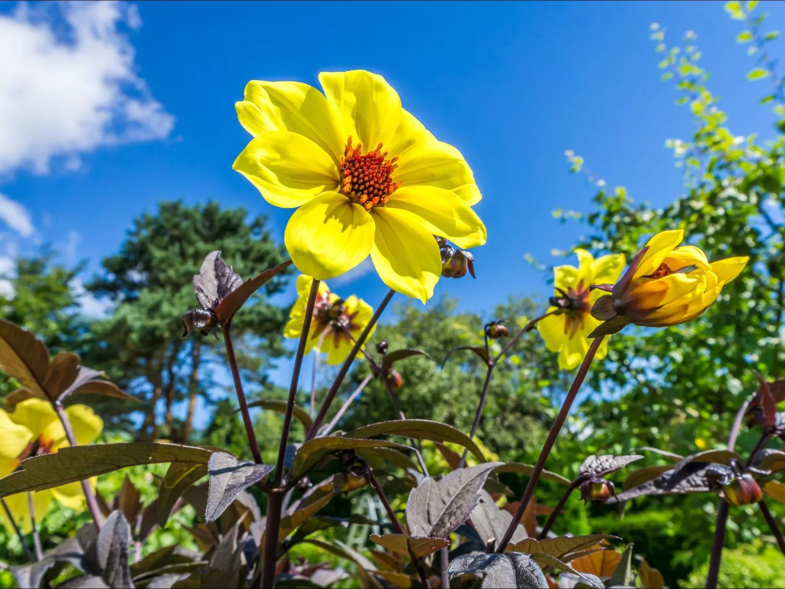 Schönes Ferienhaus in Hastings mit Whirlpool, Terrasse und Garten-Draußen