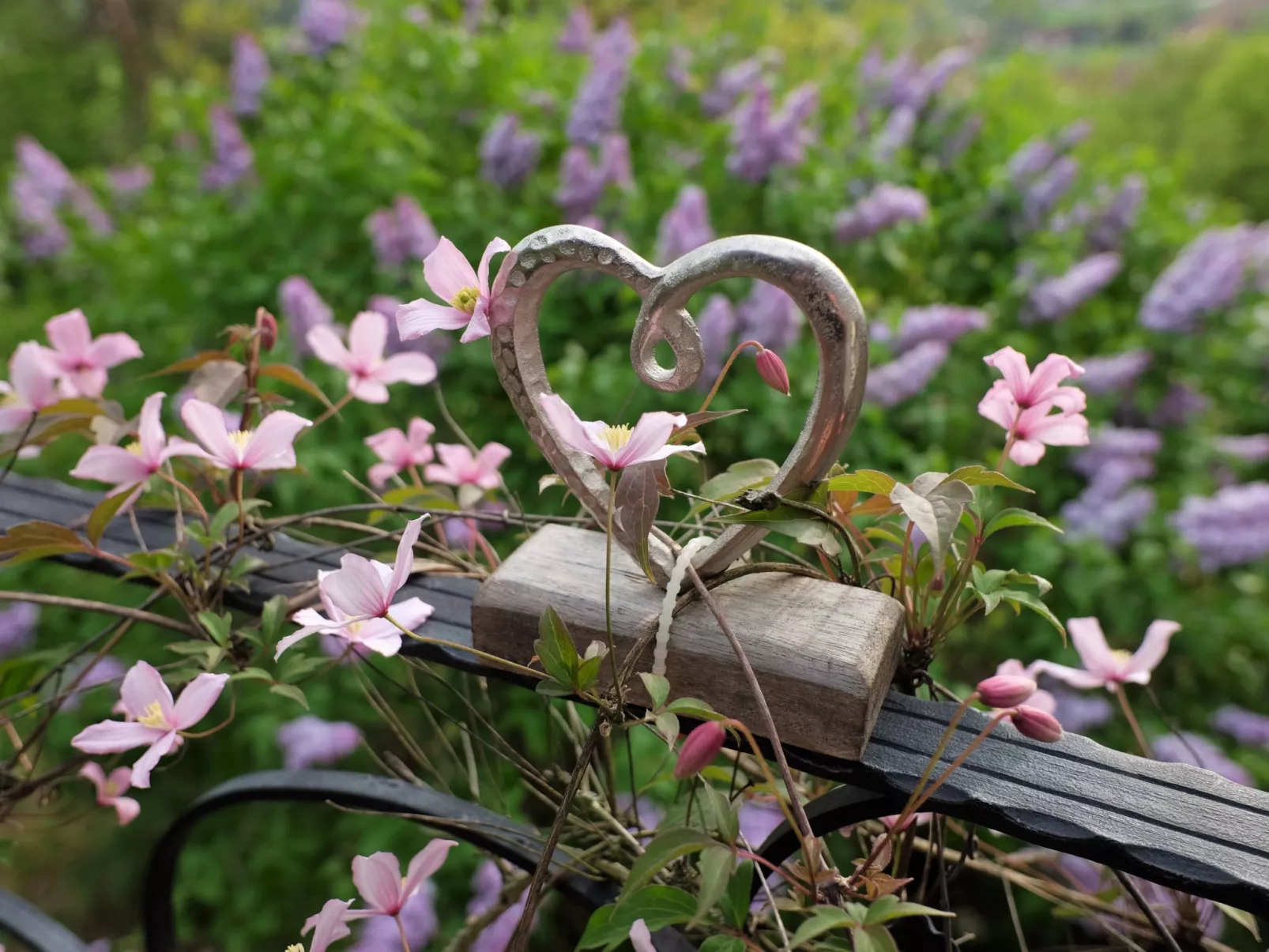 Mit einer umwerfenden Panoramaaussicht-Image-tags.info