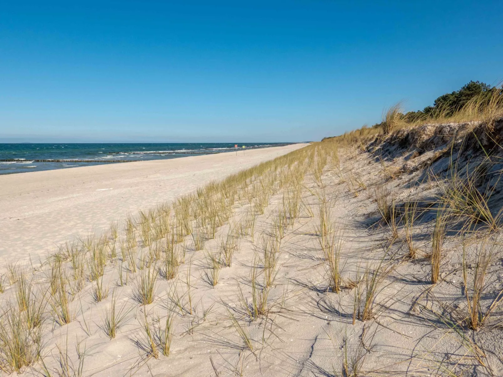 "Kranich"-Image-tags.info