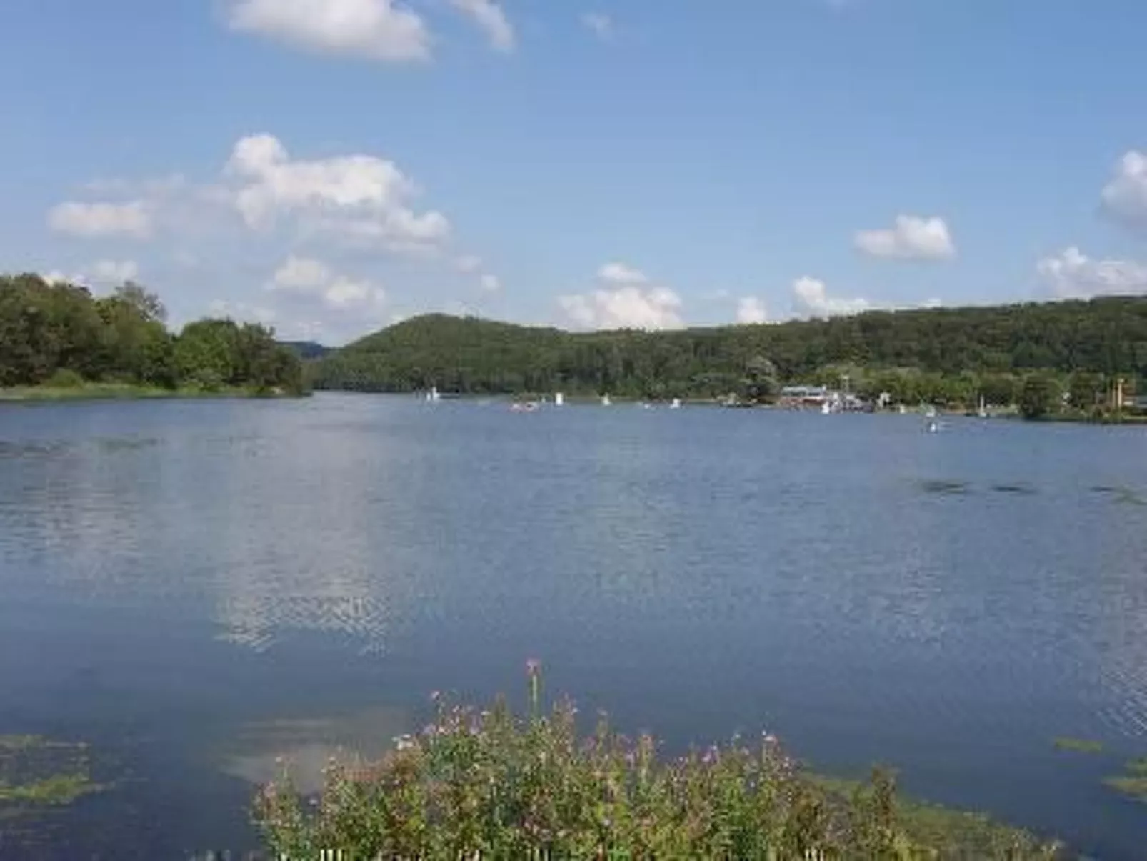 Im Teutoburger Wald-Draußen