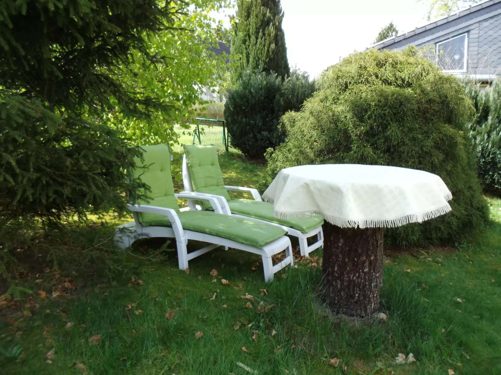 Seyer-Image-tags.info