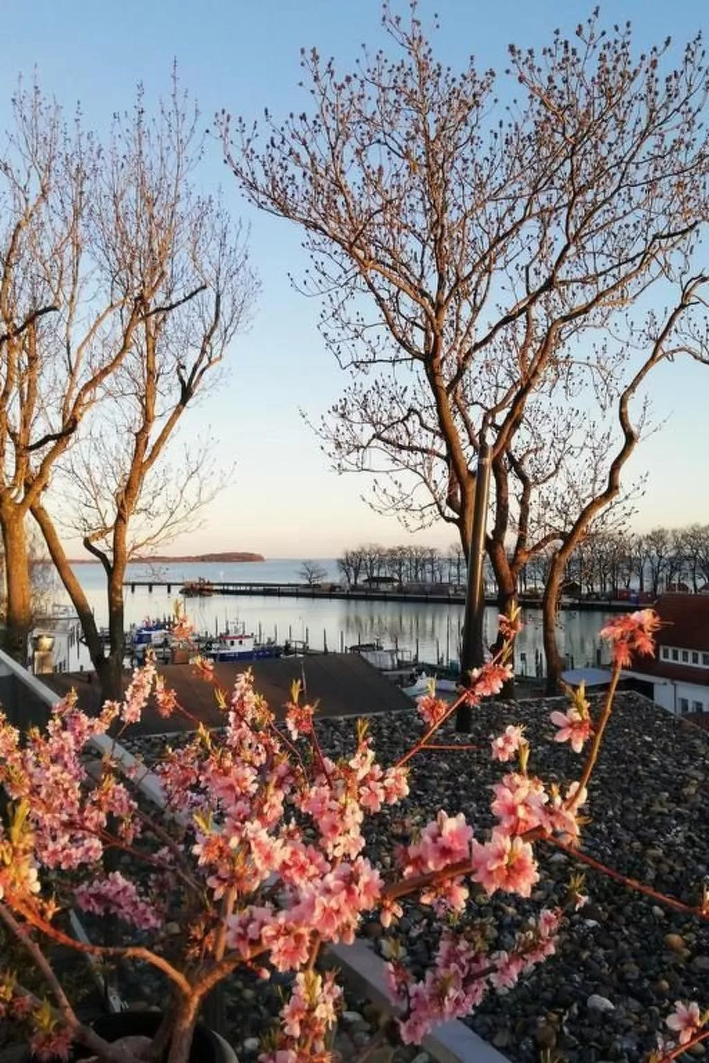 Boddenblick-Vilm-Draußen