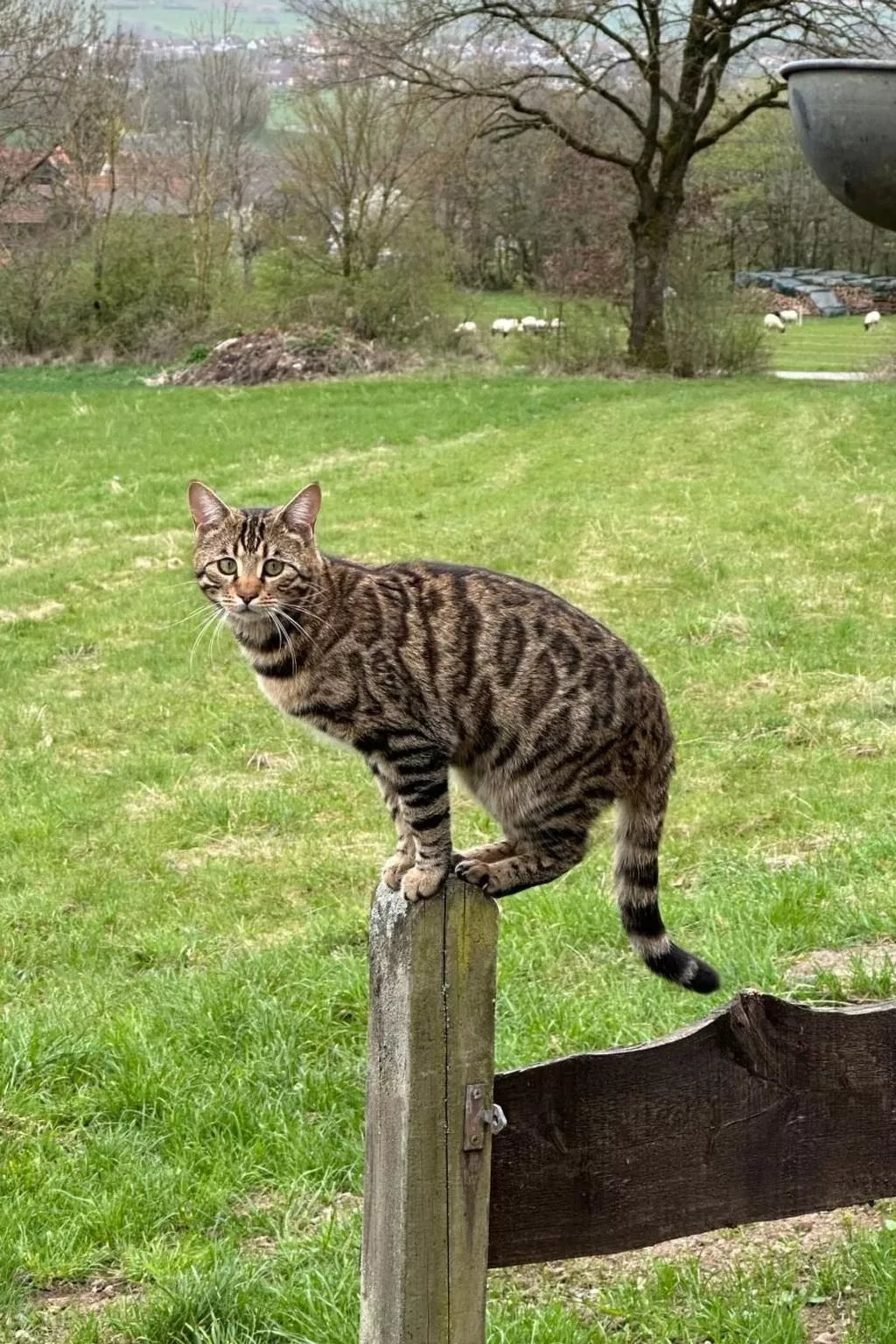 Fewo. Liebelt-Dehors