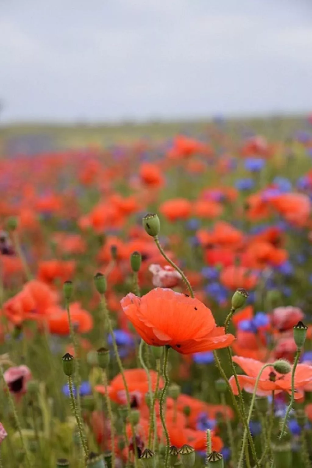 Stadt Apartement-Draußen