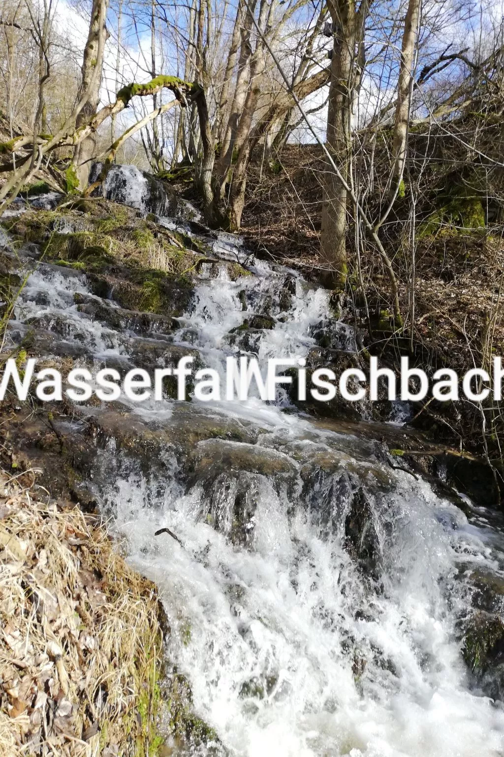 Gemütliches Ferienhaus in Fischbach Rhön-Outside