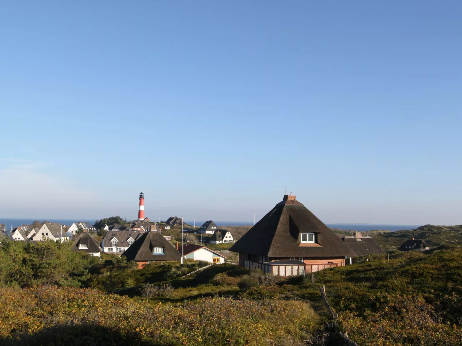 Strandfloh in Hörnum-Draußen