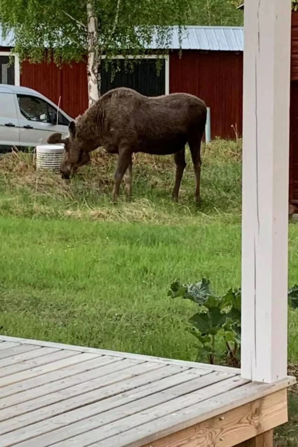 Zu vermieten in der Nähe von Jokkmokk-Outside