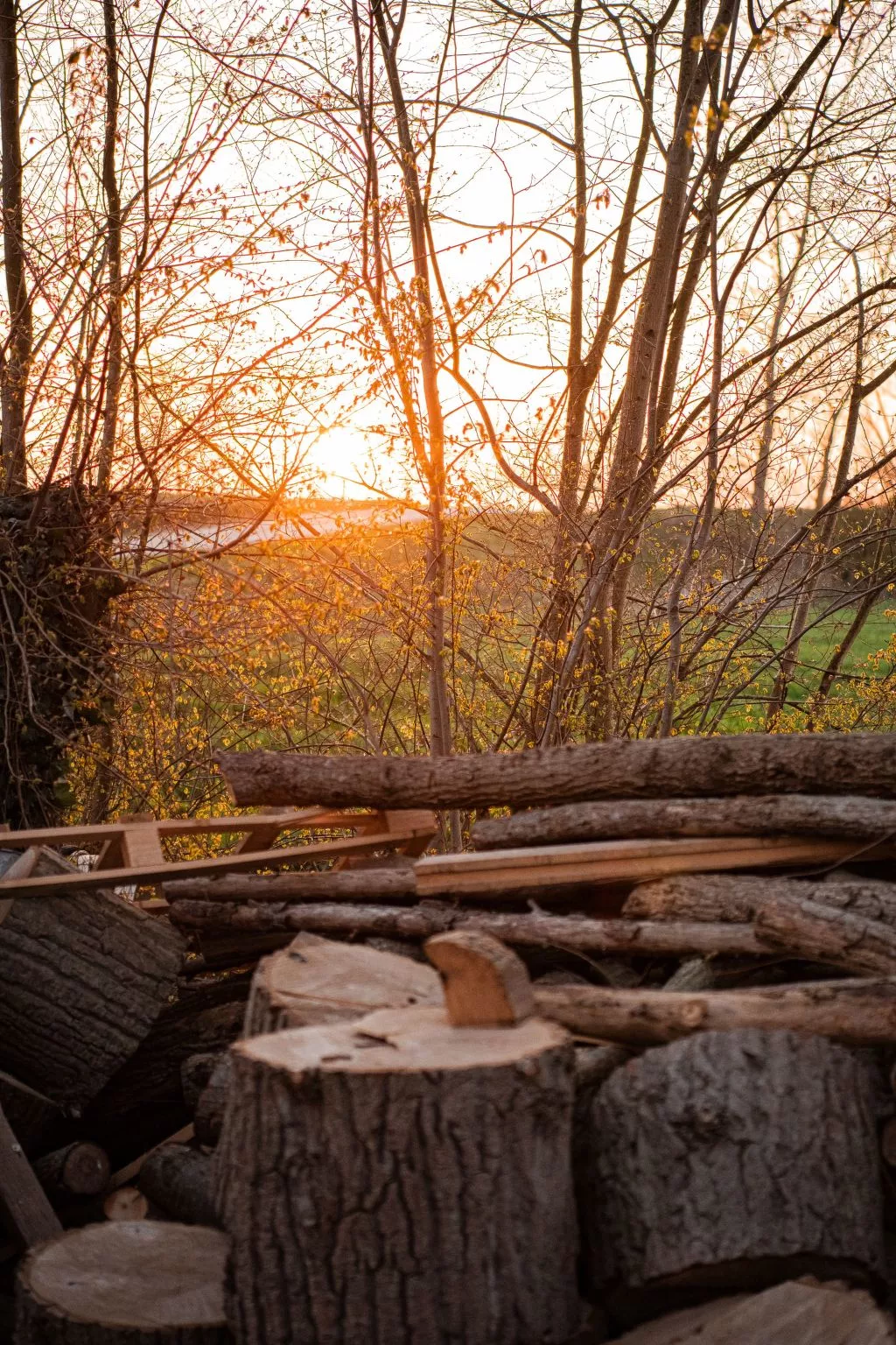 Einzigartiger Aufenthalt "The Moggershil" auf dem Bauernhof-Outside