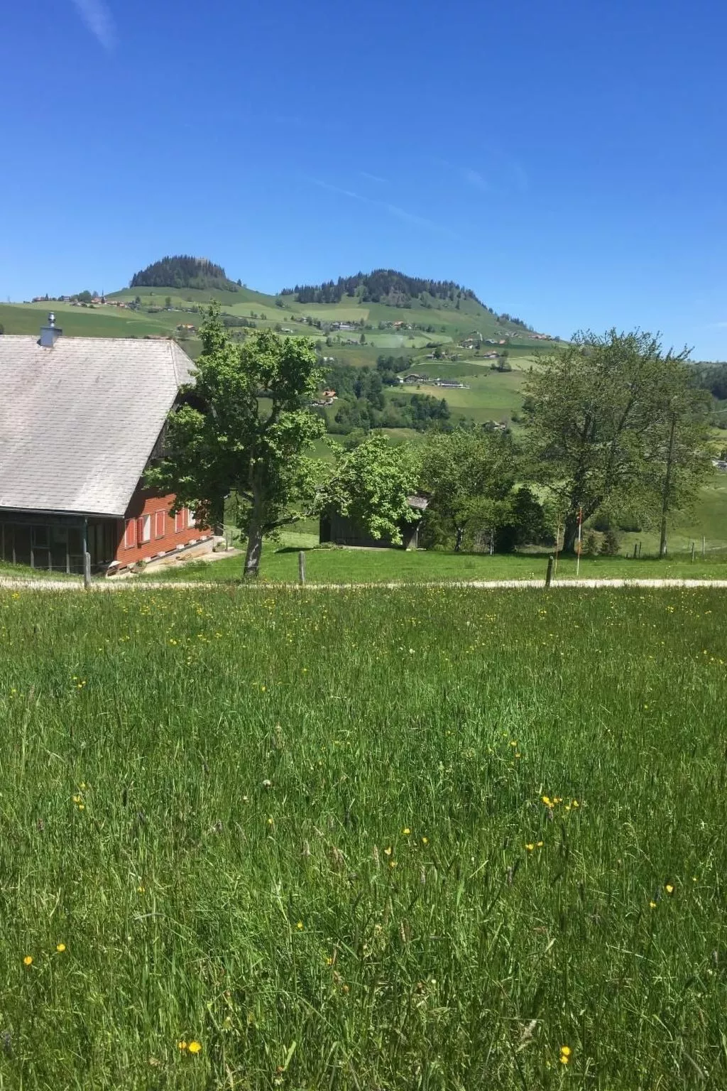 Guggershörnliblick-Draußen