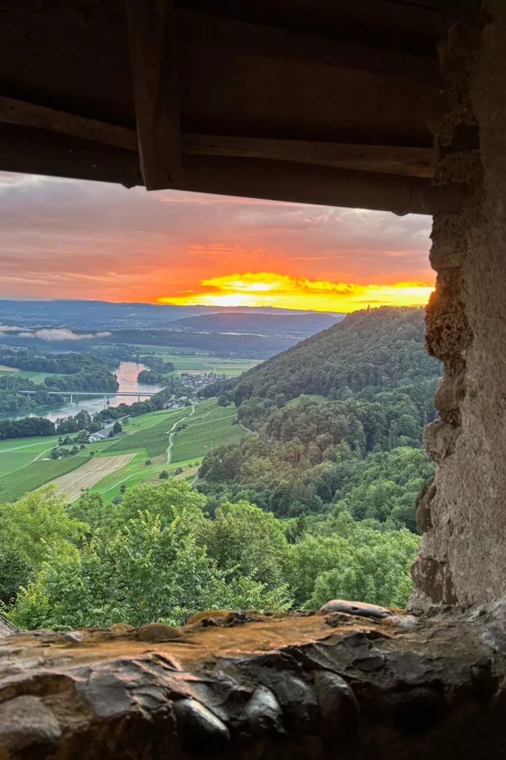 Tieroase Grünegg-Outside