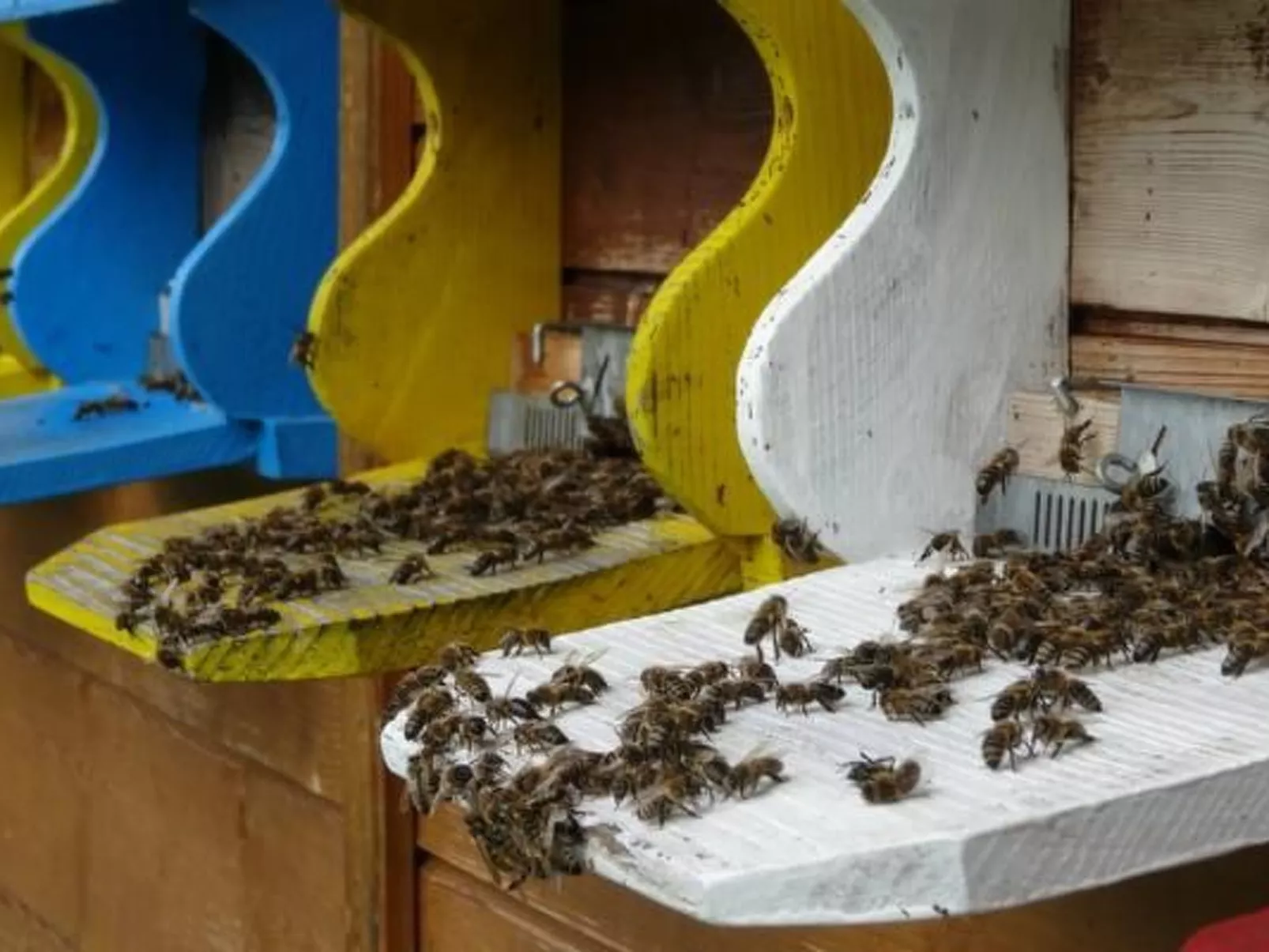 Bauernhof Gerber-Draußen