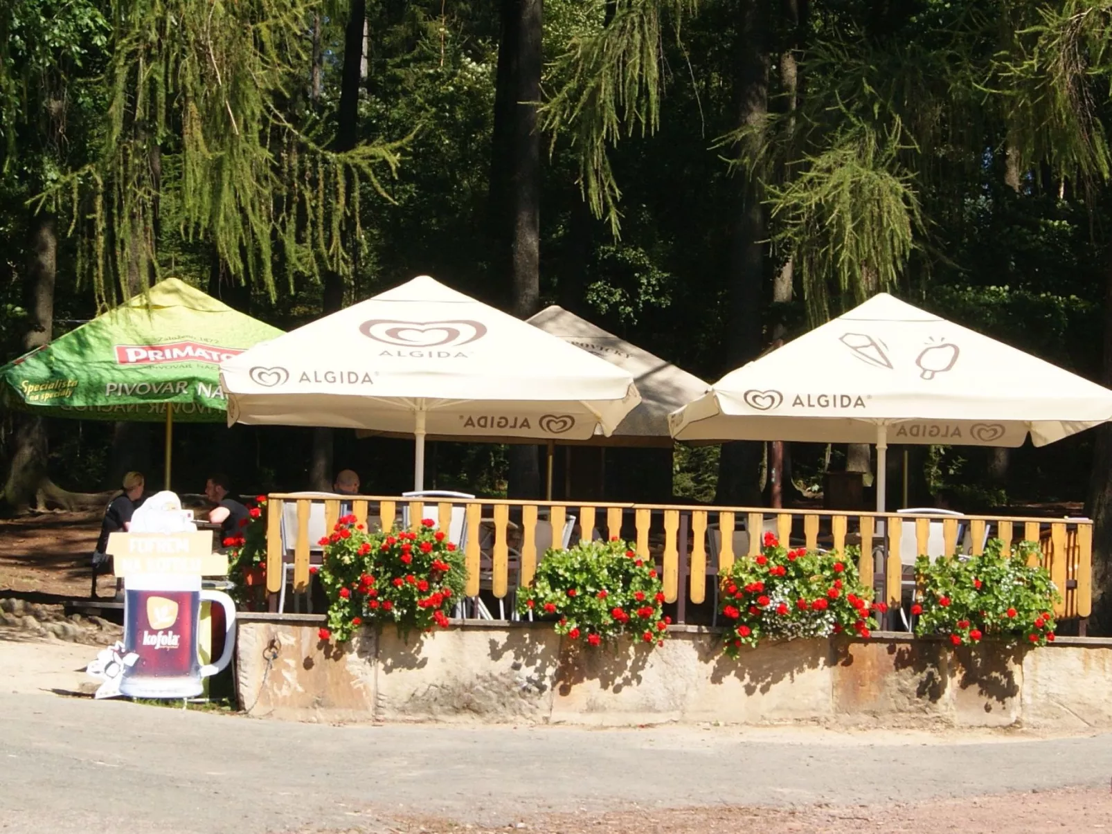 In natürlicher Umgebung-Draußen