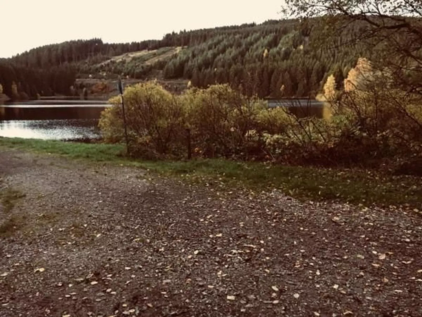 Feriendomizil Adler-Draußen