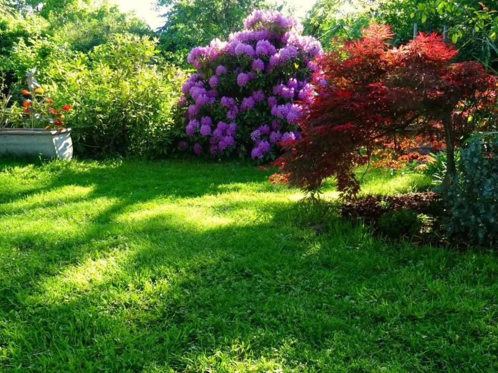 Sobrigau-Image-tags.info