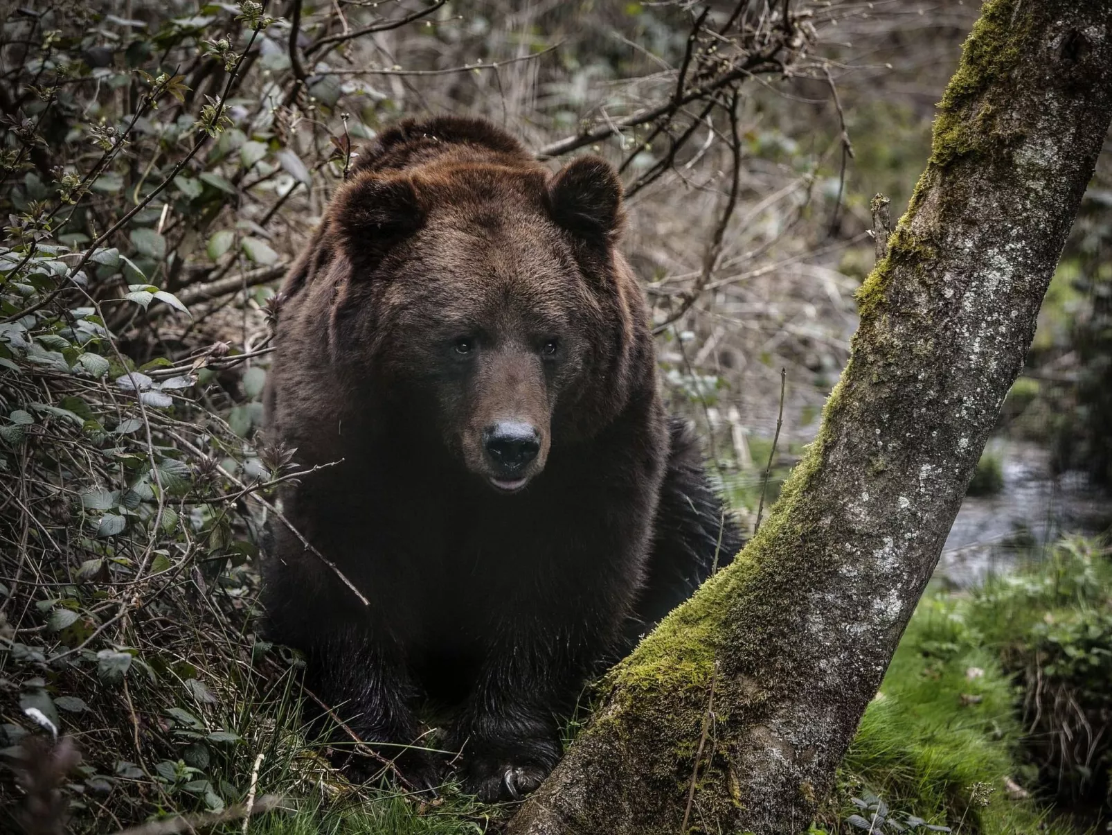 Landhaus Graf-Outside