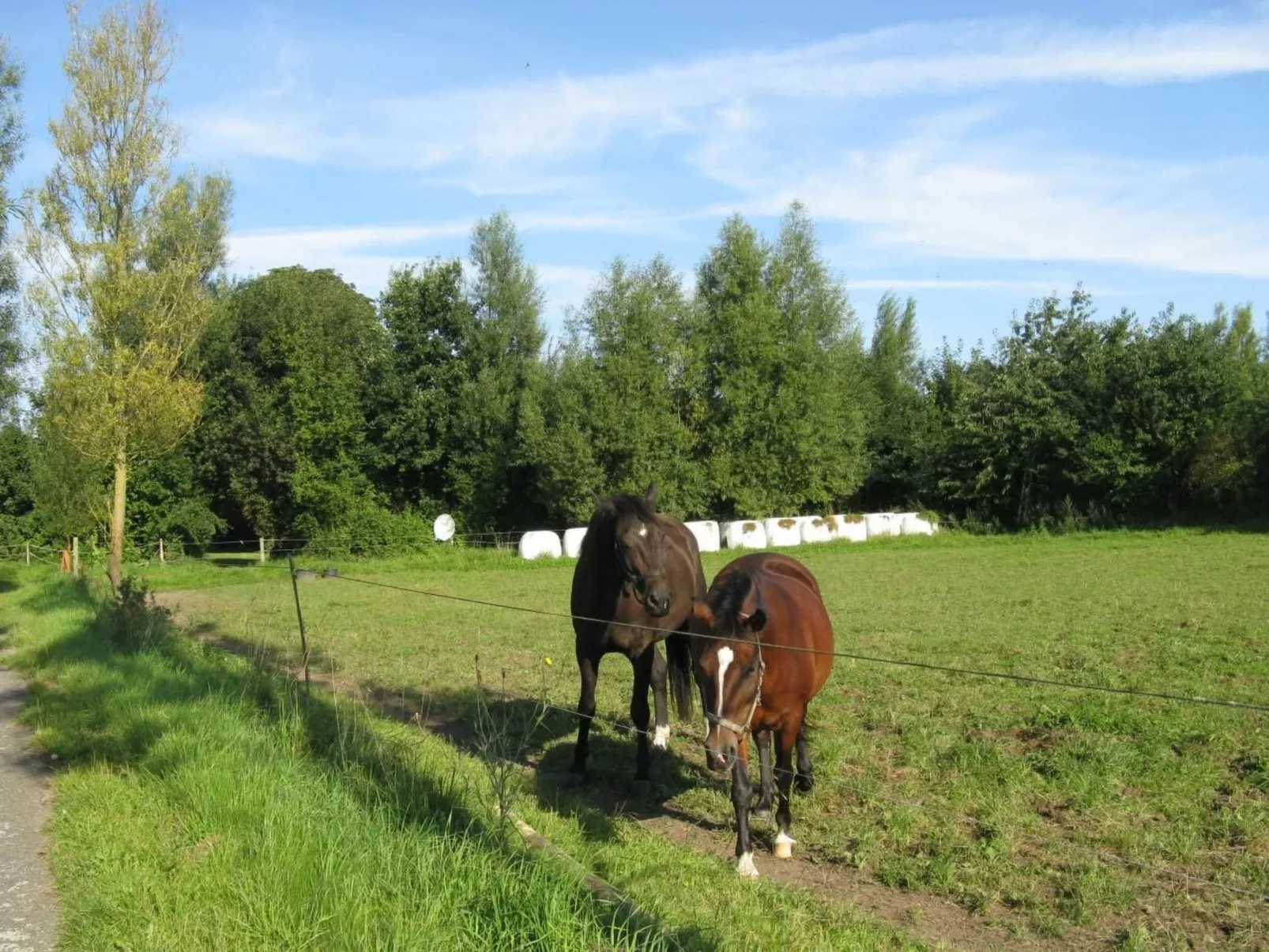 Gutshof-Ambiente 5-Draußen