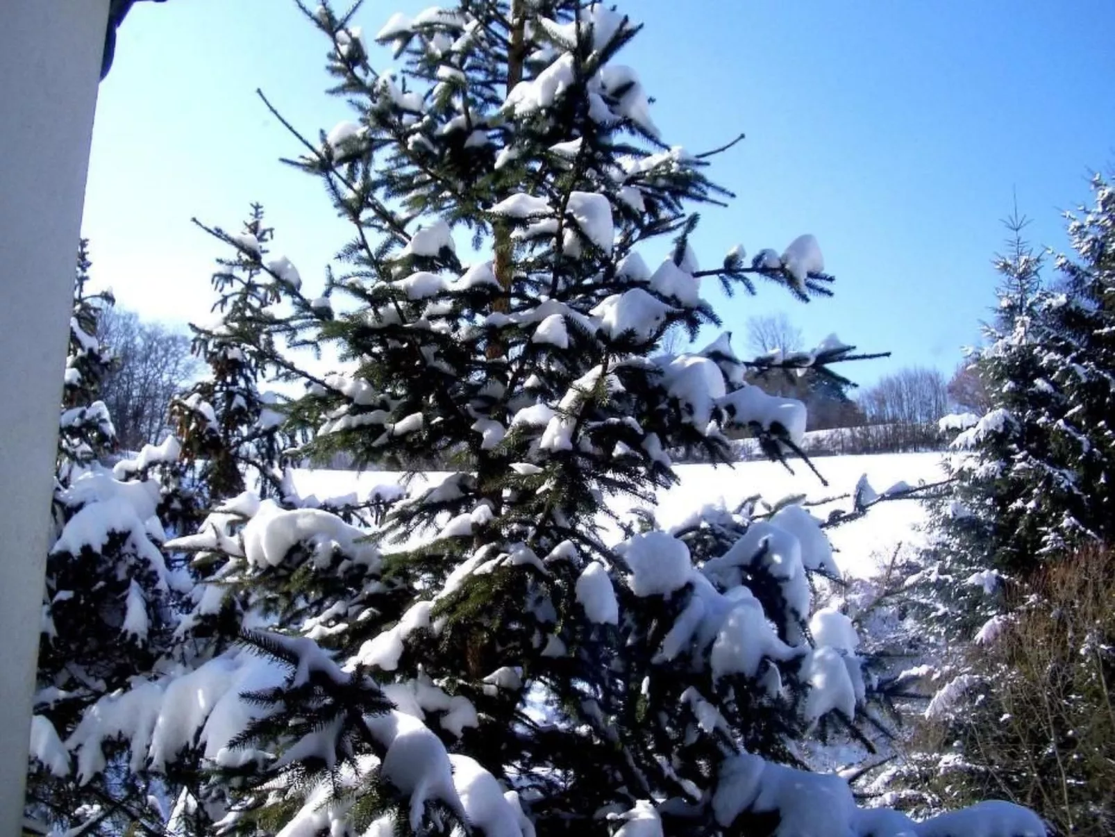 Roomantic Apartment für 4 Personen-Outside